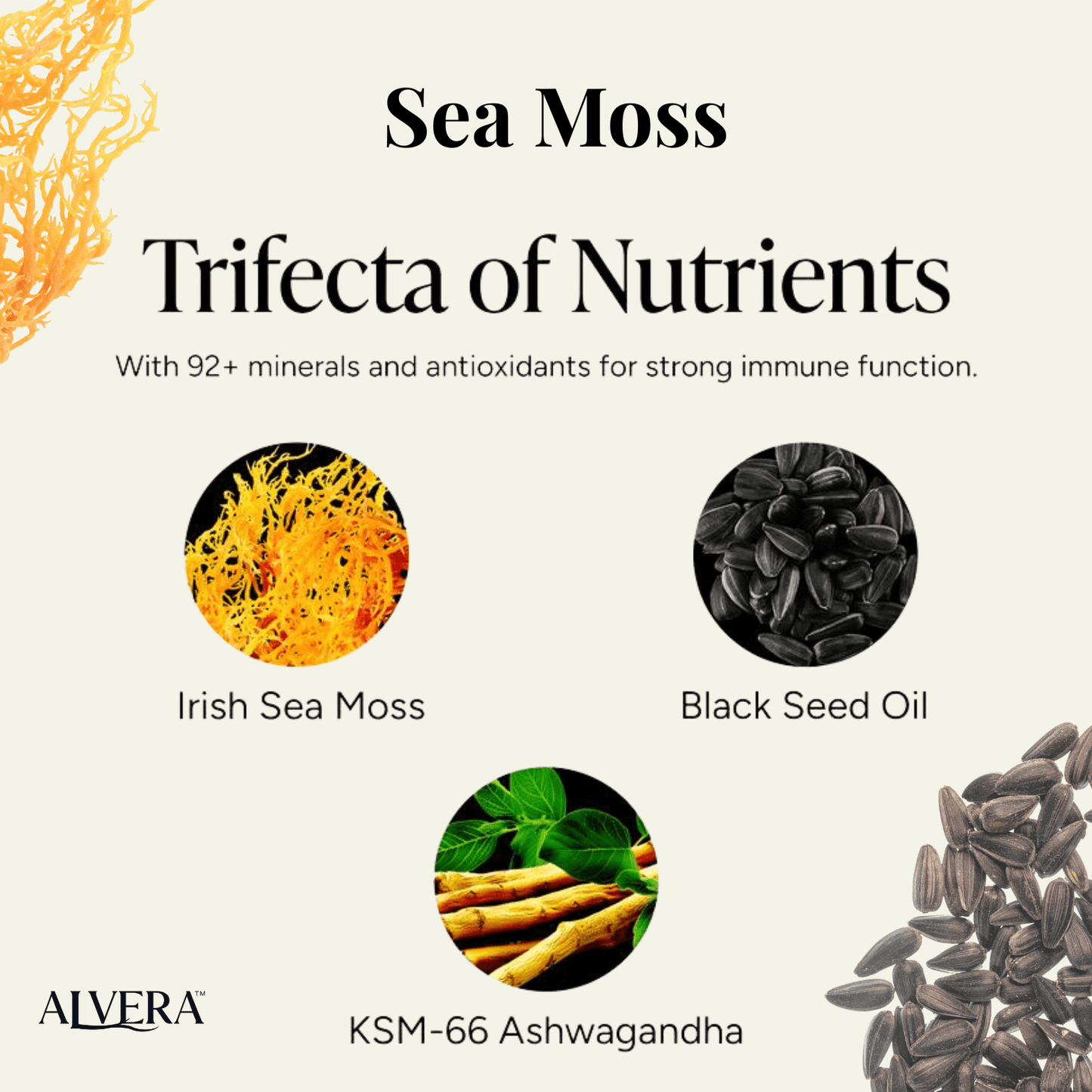 Alvera Peak Performance Sea Moss + Alpha Bundle
