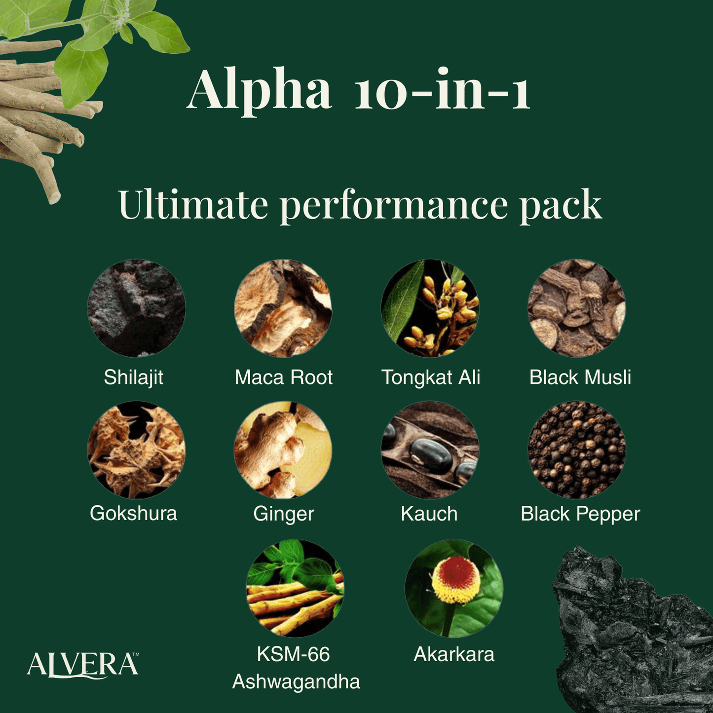Alvera Peak Performance Sea Moss + Alpha Bundle